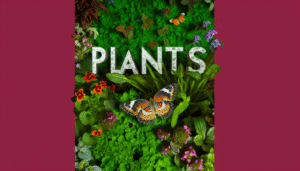 alt_text: Een weelderige botanische tuin vol bloemen, bladeren en een vlinder, met de titel 'Planten'.